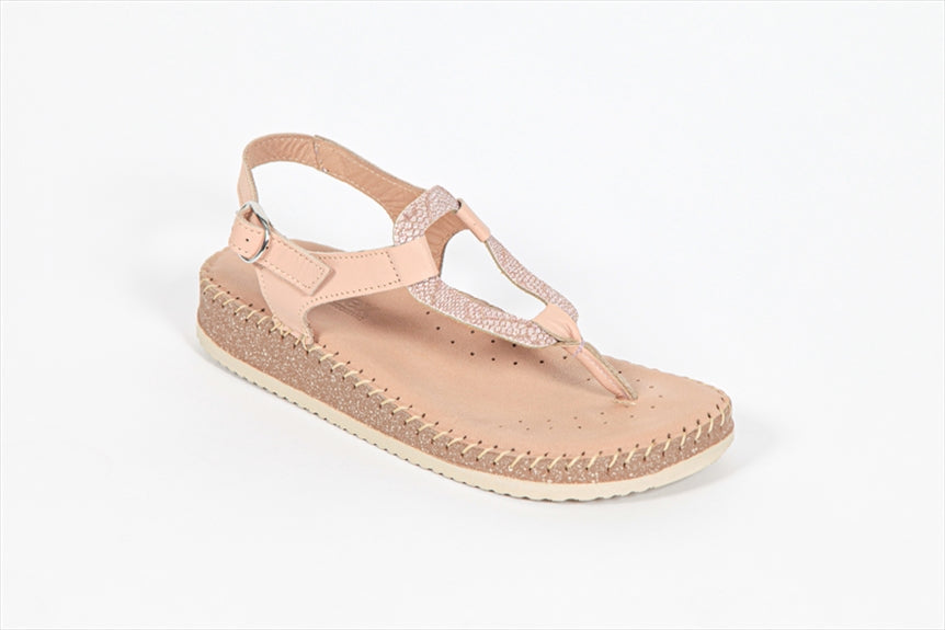 https://powersoft365customers.blob.core.windows.net/he24794-talbot-shoes-ltd/Models/25---PUR.jpg