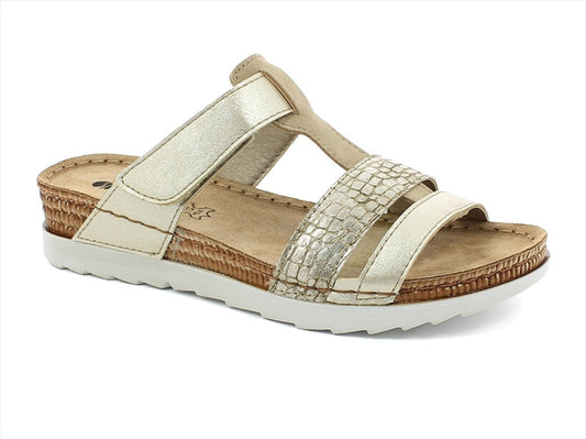 Of28 - Inblu Women General