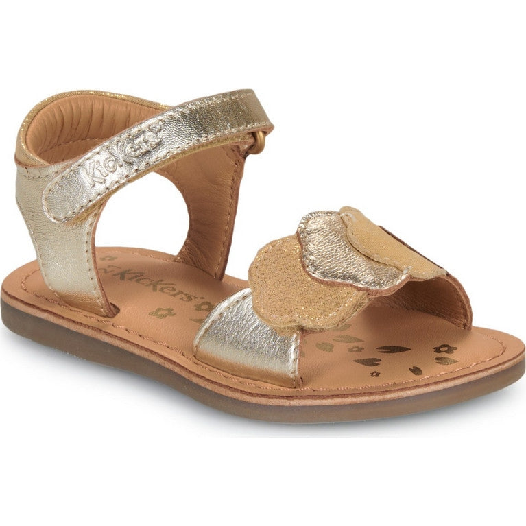 https://powersoft365customers.blob.core.windows.net/he24794-talbot-shoes-ltd/Models/1202341-GOL.jpg