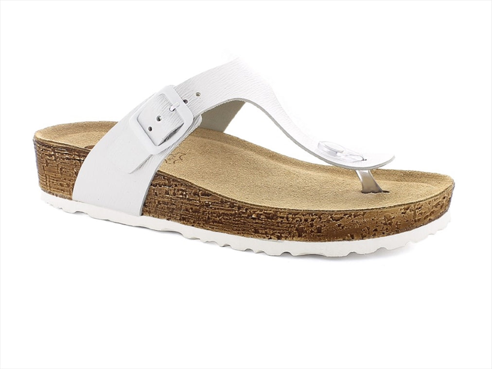 Nm29 - Inblu Women General