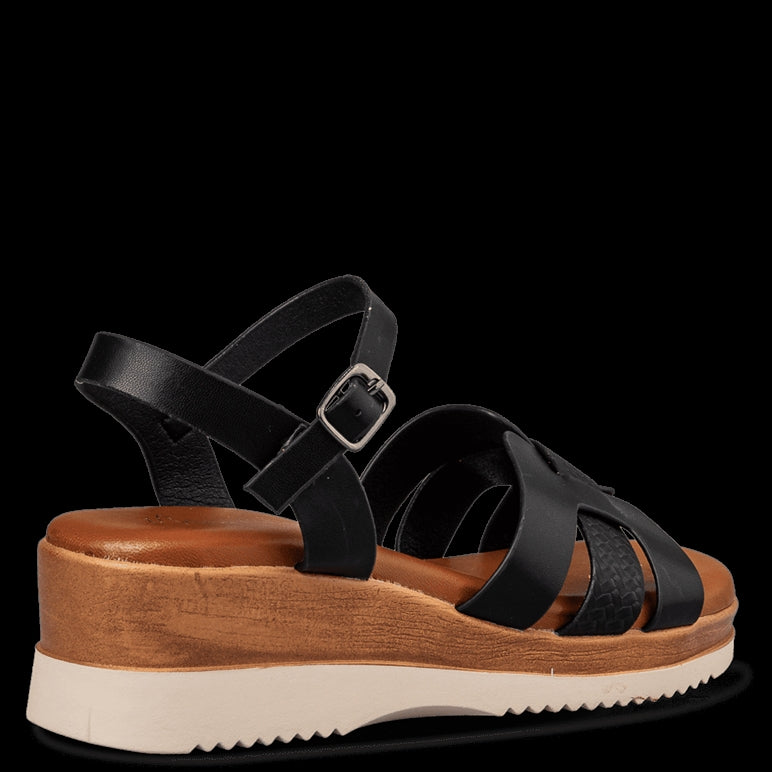 V14-21013 - ENVIE
